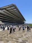 Japan Derby
