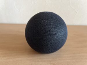 Echo Dot 4