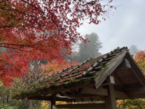 The autumn leaves